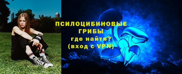крисы Заводоуковск